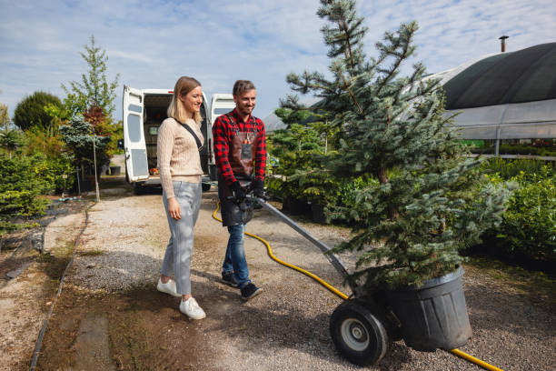 Squaw Valley, CA Tree Removal Company